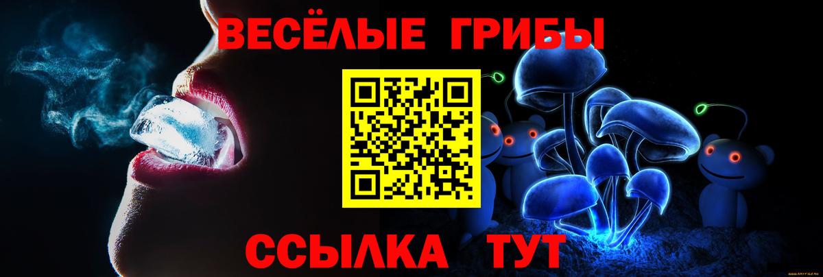 Псилоцибиновые грибы GOLDEN TEACHER Миллерово